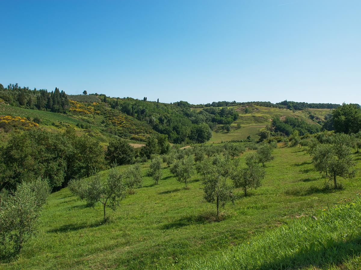 Relais Sassa Al Sole Hotel San Miniato Exterior photo